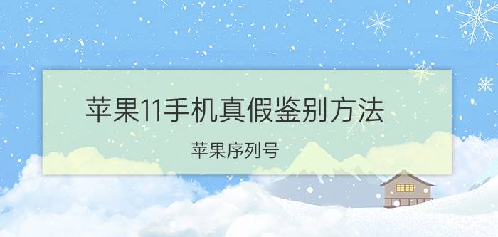 苹果11手机真假鉴别方法 苹果序列号，怎么查真伪？